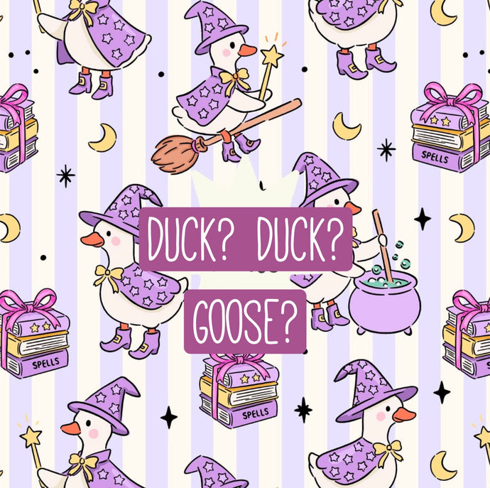 Duck? Duck? Goose?